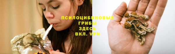 гашик Алзамай