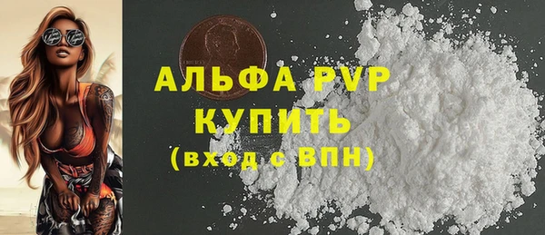 стафф Алексин
