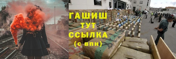 стафф Алексин