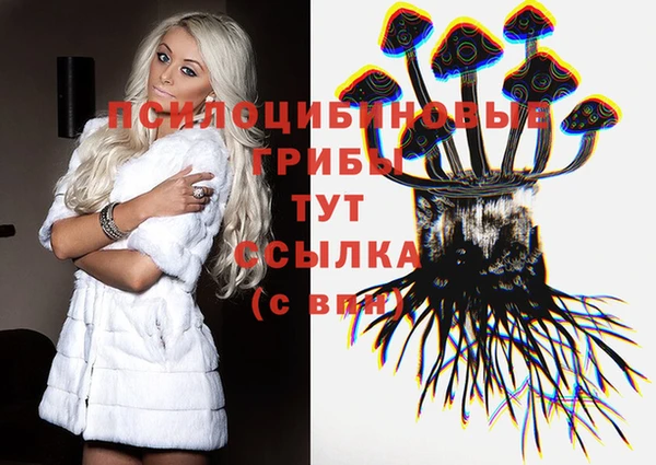 гашик Алзамай