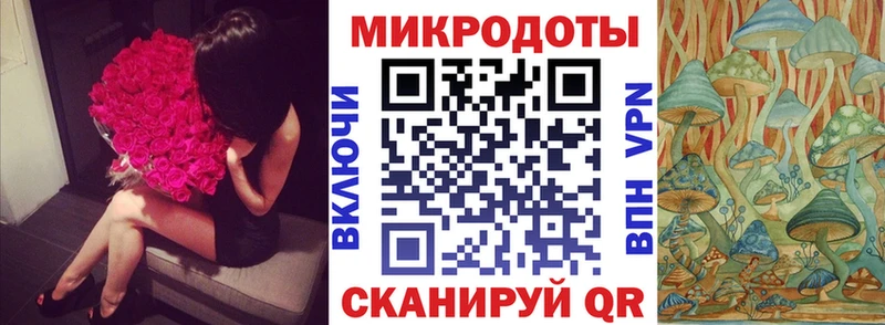 где купить наркоту  Карабаш  Псилоцибиновые грибы MAGIC MUSHROOMS 